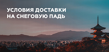 Условия доставки по району Снеговой